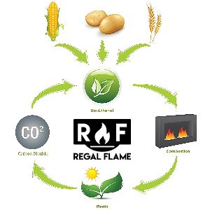 Ethanol Fuel and the Environment