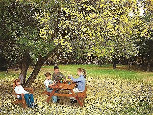 Maxim Kids Adirondack Chair in Context