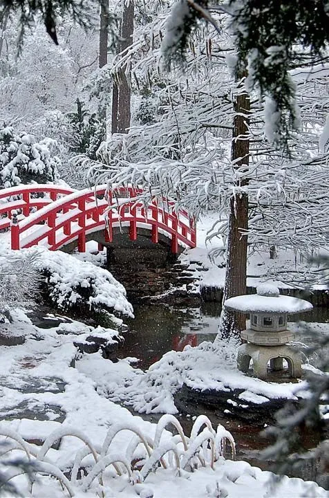 Red Bridge in Frozen Japanese Garden. Source: Pinterest