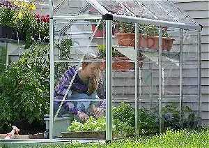Palram Snap & Grow 6ft Series Hobby Greenhouse