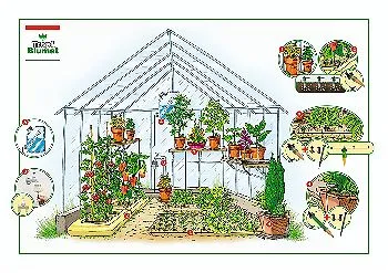 Tropft Blumat in the Greenhouse