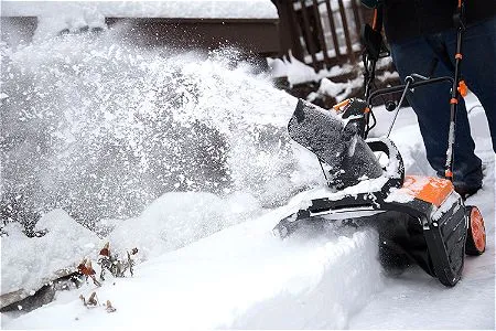 clean snowblower carburetor