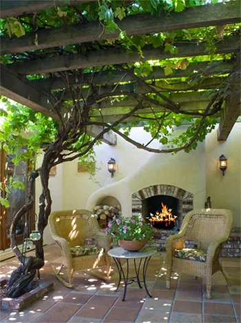 grape vines shade