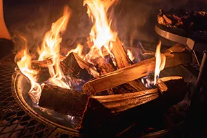 best firewood tote