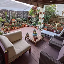 best planters