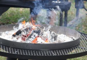 Pinon Mini Logs Fire Pit
