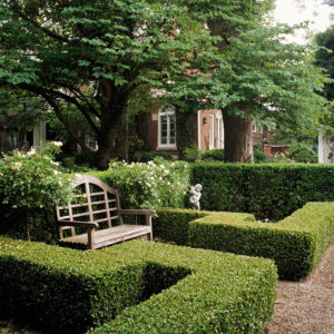 Boxwood Hedge. Source: BHG.com