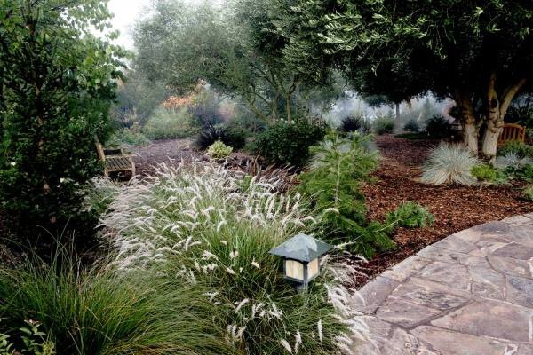 California Winter Garden. Source: GardenDesign Magazine