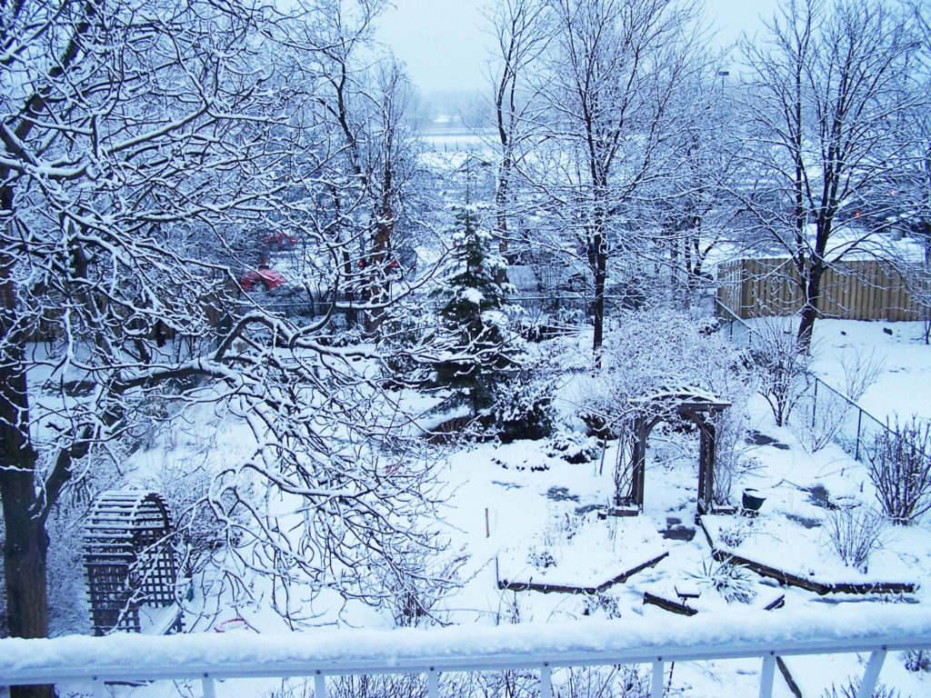Garden Under Snow. Source: California School of Garden Design