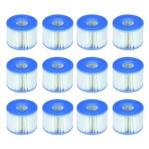 Intex S1 Replacement Filters