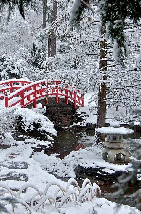 Red Bridge in Frozen Japanese Garden. Source: Pinterest