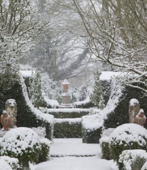 Symmetry in the Snowy Garden. Source: The Potted Boxwood