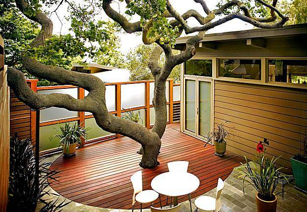 Tree Through Modern Deck. Source: Felamakita