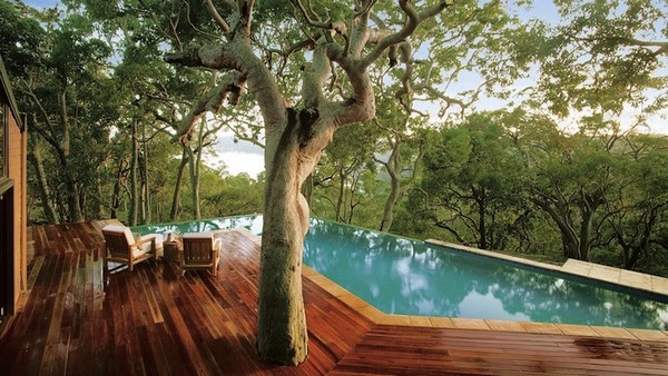 Tree by the Pool Source: HomeEdit