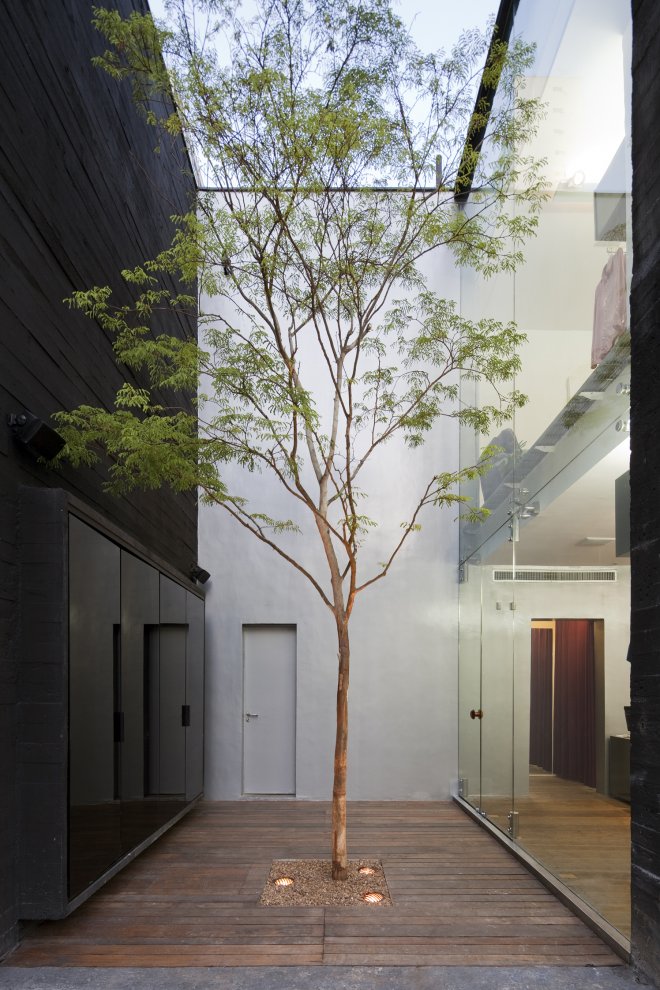 Tree in Narrow Internal Courtyard Source: Pinterest