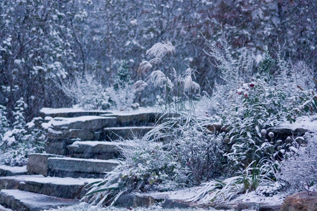 Winter Garden with Steps. Source: Ken's Kitchen Garden