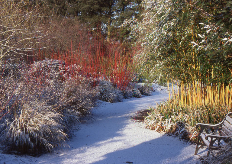 Winter Garden at Sir Harold Hilier Gardens. Source: MyCityIsAGarden