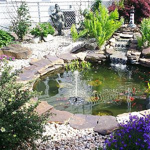 TekHome in the Koi Pond