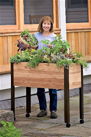 Gardeners Supply Elevated Raised Planter Box