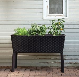 Keter Easy Grow Garden Bed