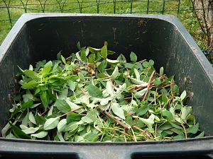 Garden Waste source: pixabay