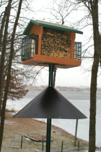 Wood Link Squirrel Baffle