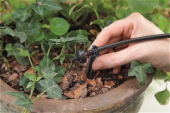 Raindrip Irrigation, the Best Garden Irrigation System Around!