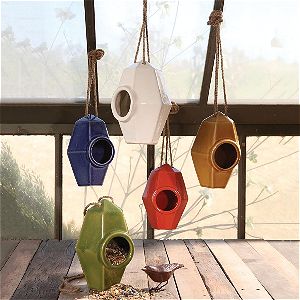 Intelligent Design Perch Ceramic Bird House