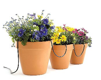 Raindrip R560DP Automatic Container and Hanging Baskets Irrigation System