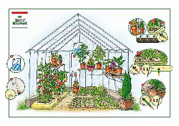 Tropft Blumat in the Greenhouse