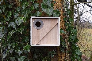 Wildlife World Urban Nest Box