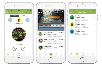 RainRobot IOS Interface