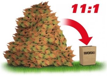 Worx 11 to 1 Compression Ratio