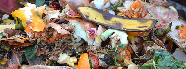 Apartment Composting. Source: Pixabay