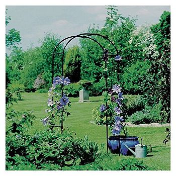 Gardman R350 Rose Arch with Flowers