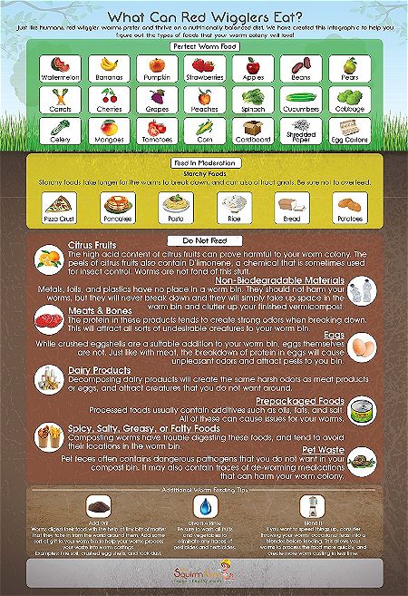 Worm Factory 360 Infographic Magnet