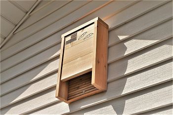 Applewood Outdoor Bat House on Siding