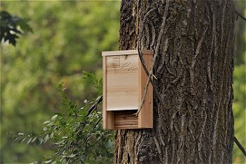 Applewood Outdoor Premium Bat House