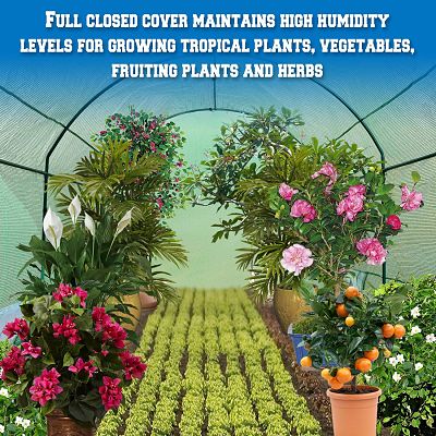 BenefitUSA Polytunnel