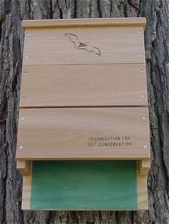 Looker Products Triple Chamber Bat House, the Best Bat House