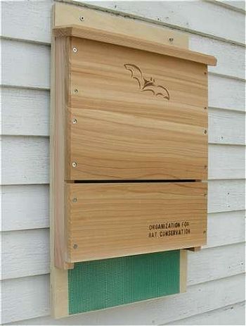Looker Songbird Essentials Organization for Bat Conservation (OBC) Single Chamber Bat House