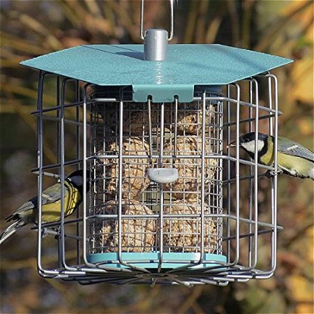Birds Dining at the Nuttery NC001 Suet Feeder