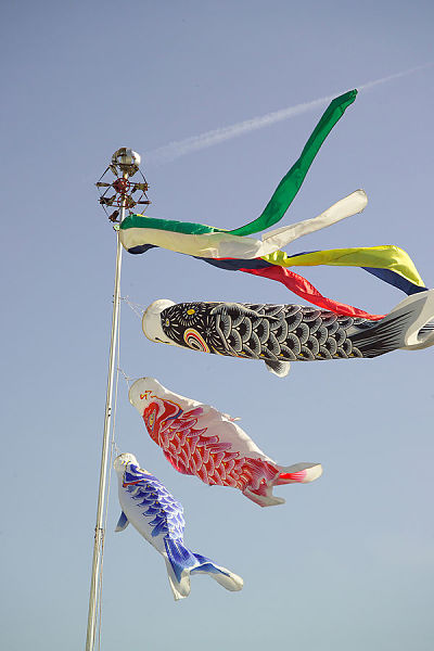 Koinobori Koi Windsock
