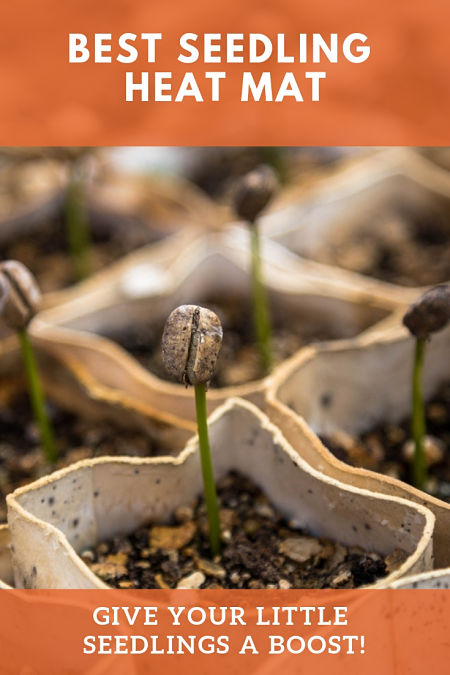 seed heat mat near me