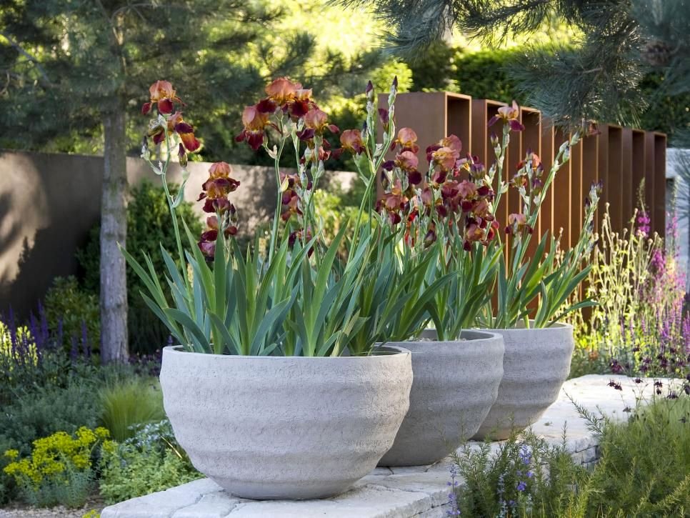 Best Large Planters | OutsideModern